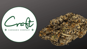 Apple Fritter Dispensaries in OKC